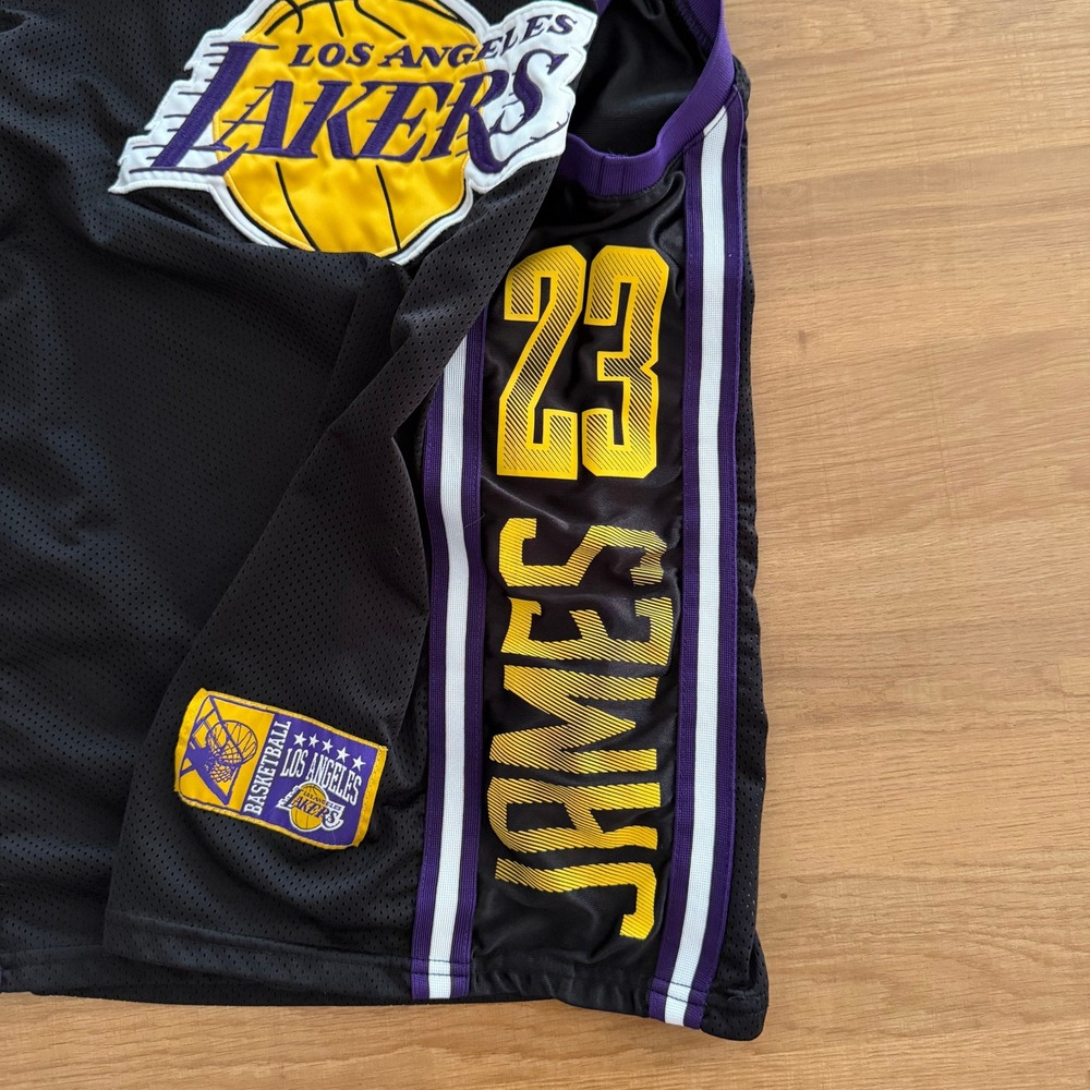 NBA Los Angeles Lakers LeBron James 23 Mesh Basketball Jersey Black Purple Large - Picture 3 of 6